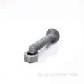 Zoll Stol Round Head Galvanized Carriage Bolt